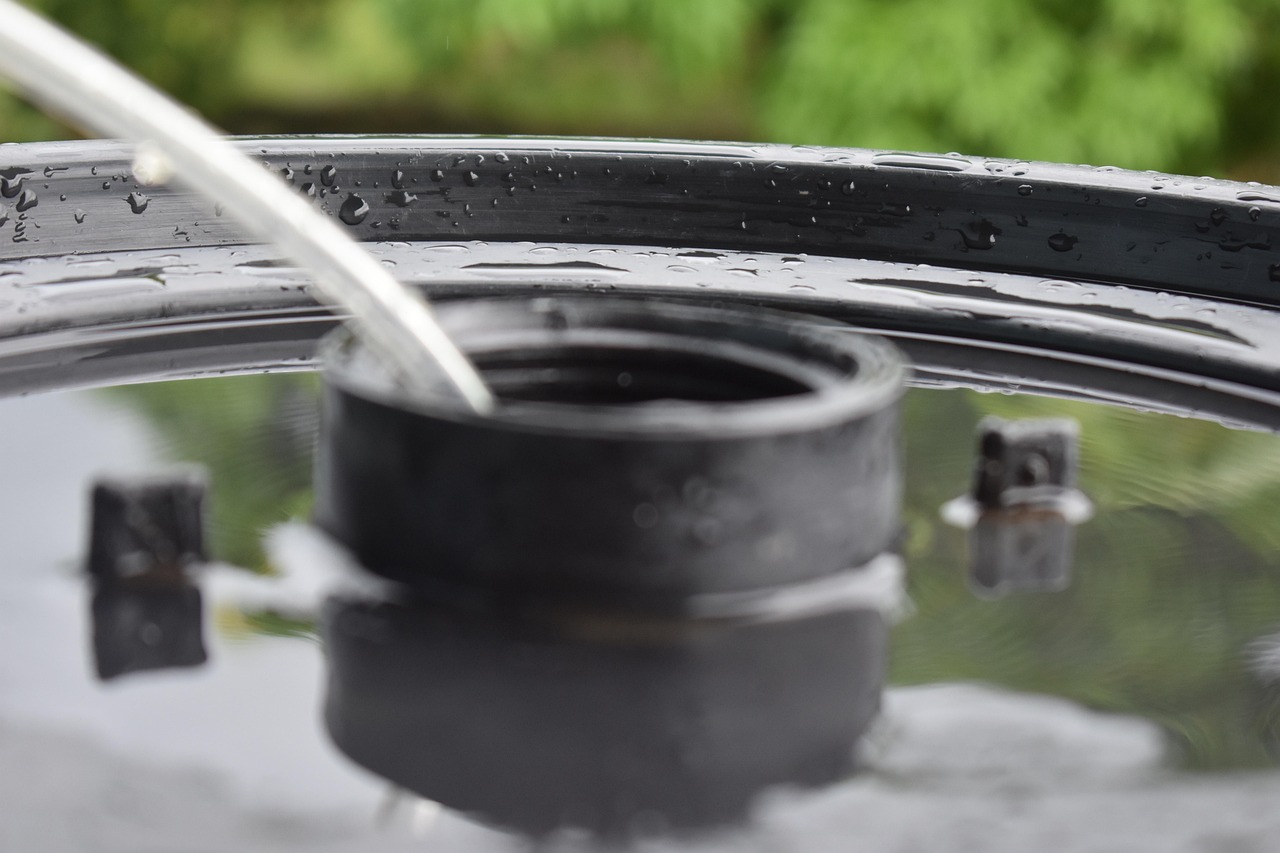 日报资讯,掌握最新动态,洞悉未来趋势概览