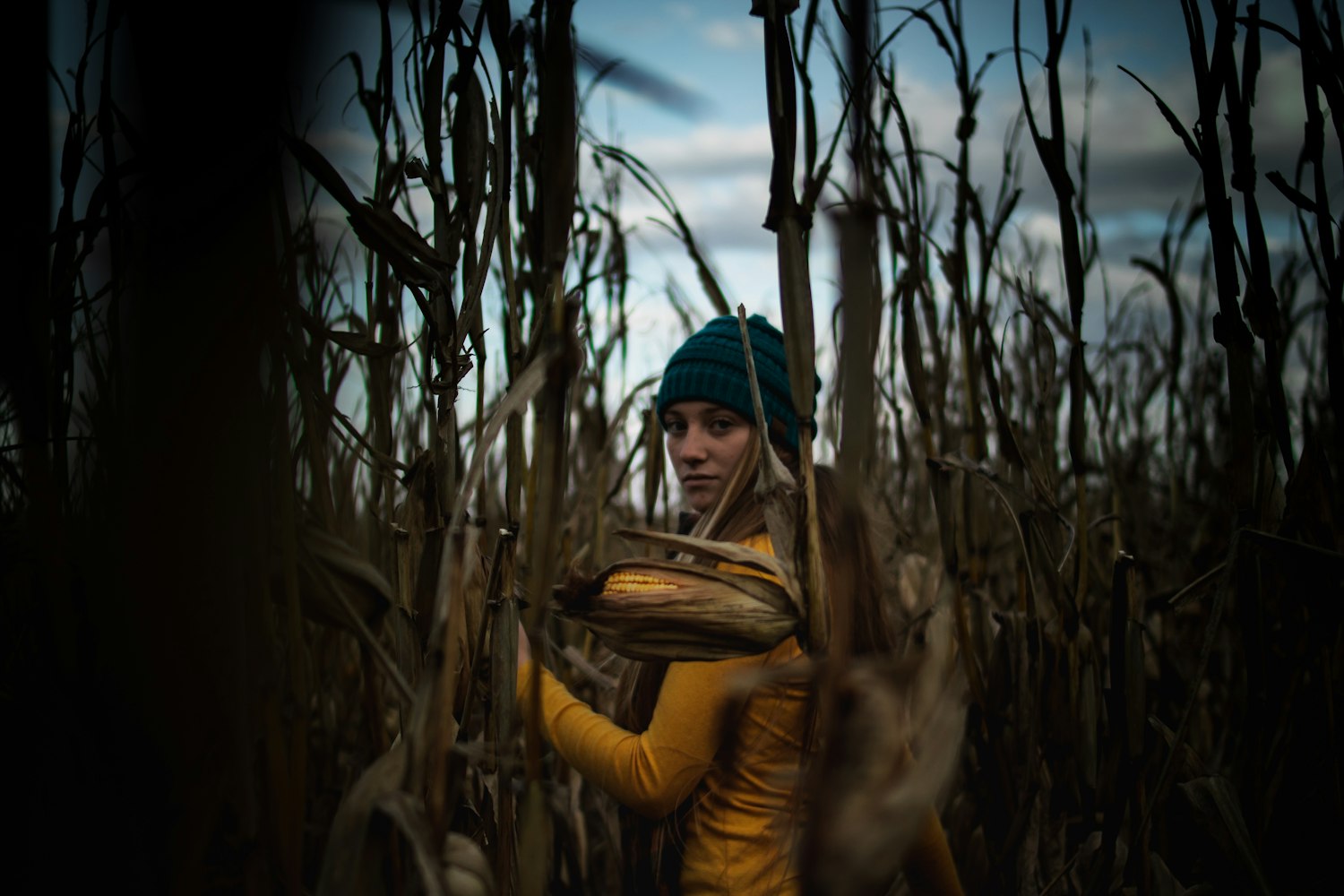 探索成人电影的魅力与影响，爆菊花电影首页揭秘