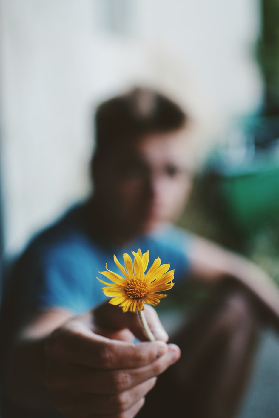 新妈妈电影，深度解读与感悟启示