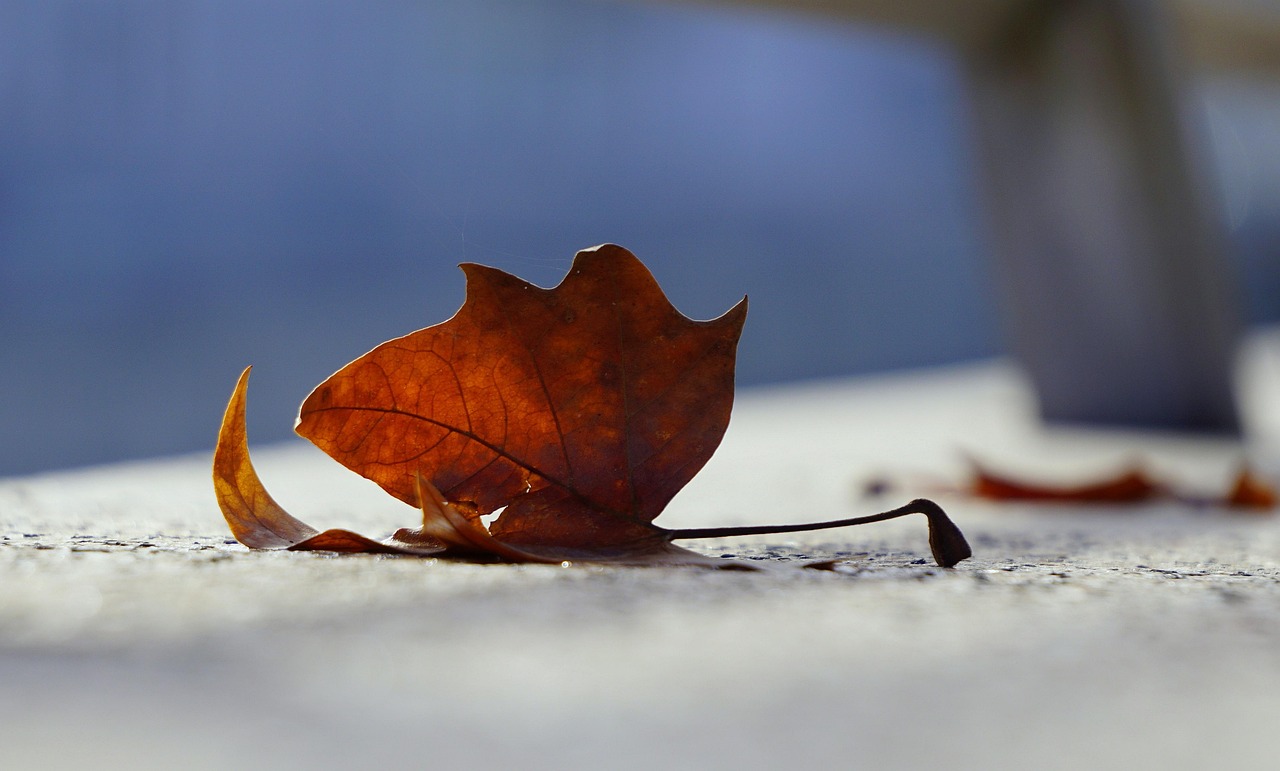 醴娄高速湘潭最新进展与前景展望，动态更新揭秘