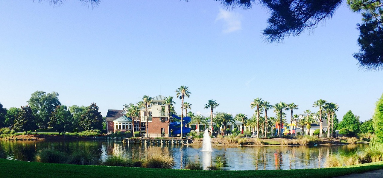 最新园艺作品展示，重塑绿色生活之美