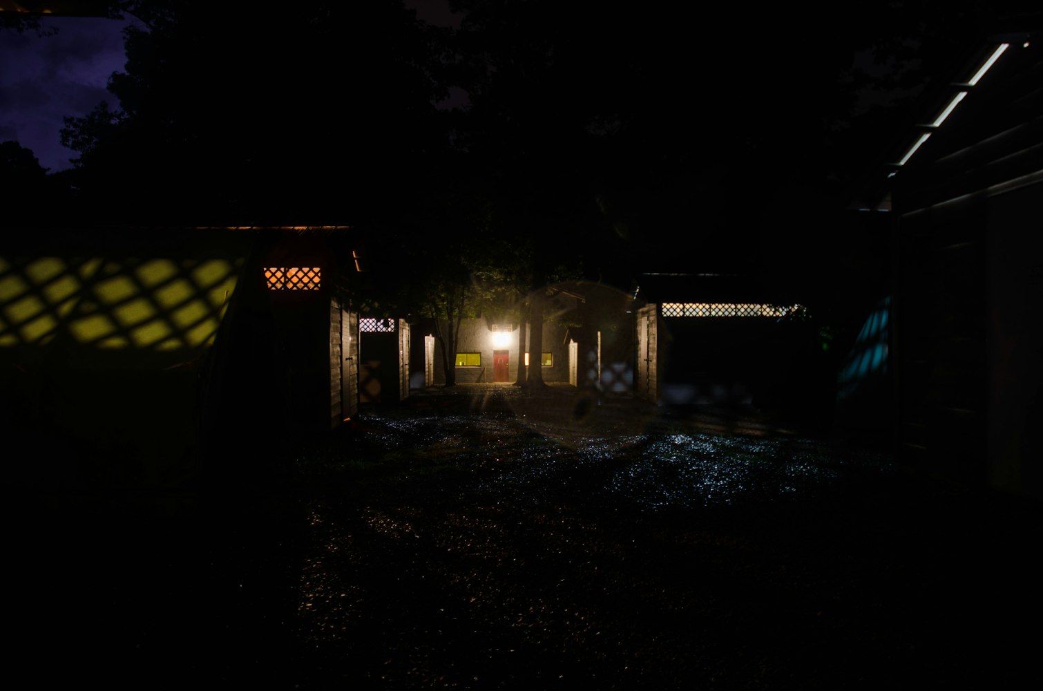 特殊关系电影，情感与命运交织之美探索