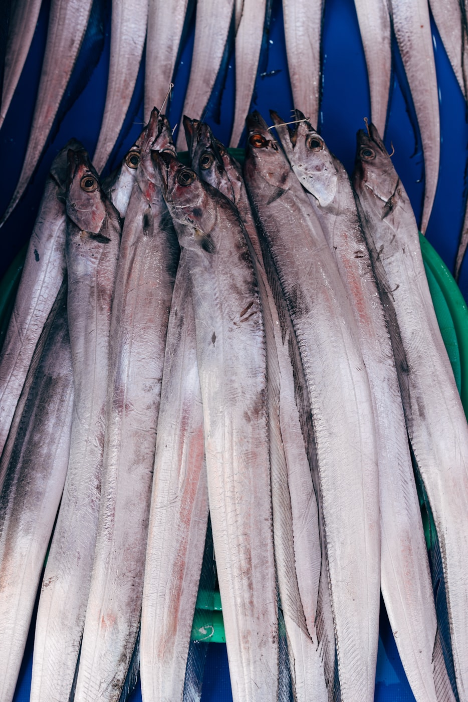 龙丹奶粉近期动态，品质升级与市场拓展并驾齐驱