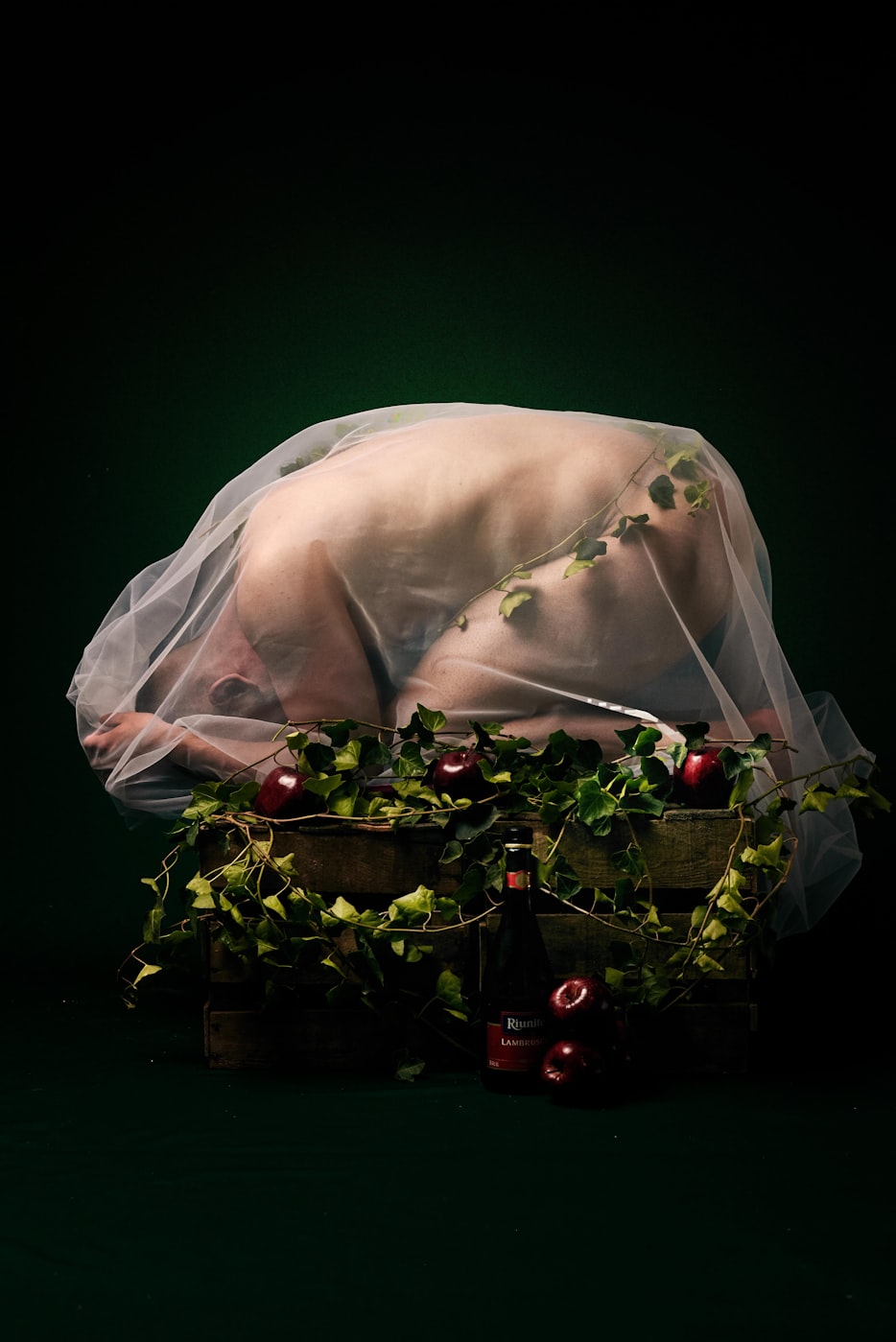 电影中的女海盗,勇敢与冒险的象征