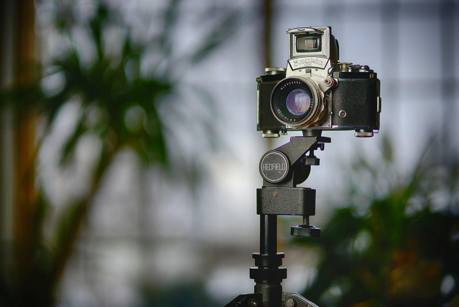 最新手机影片在线观看教程,轻松畅享影视娱乐时光