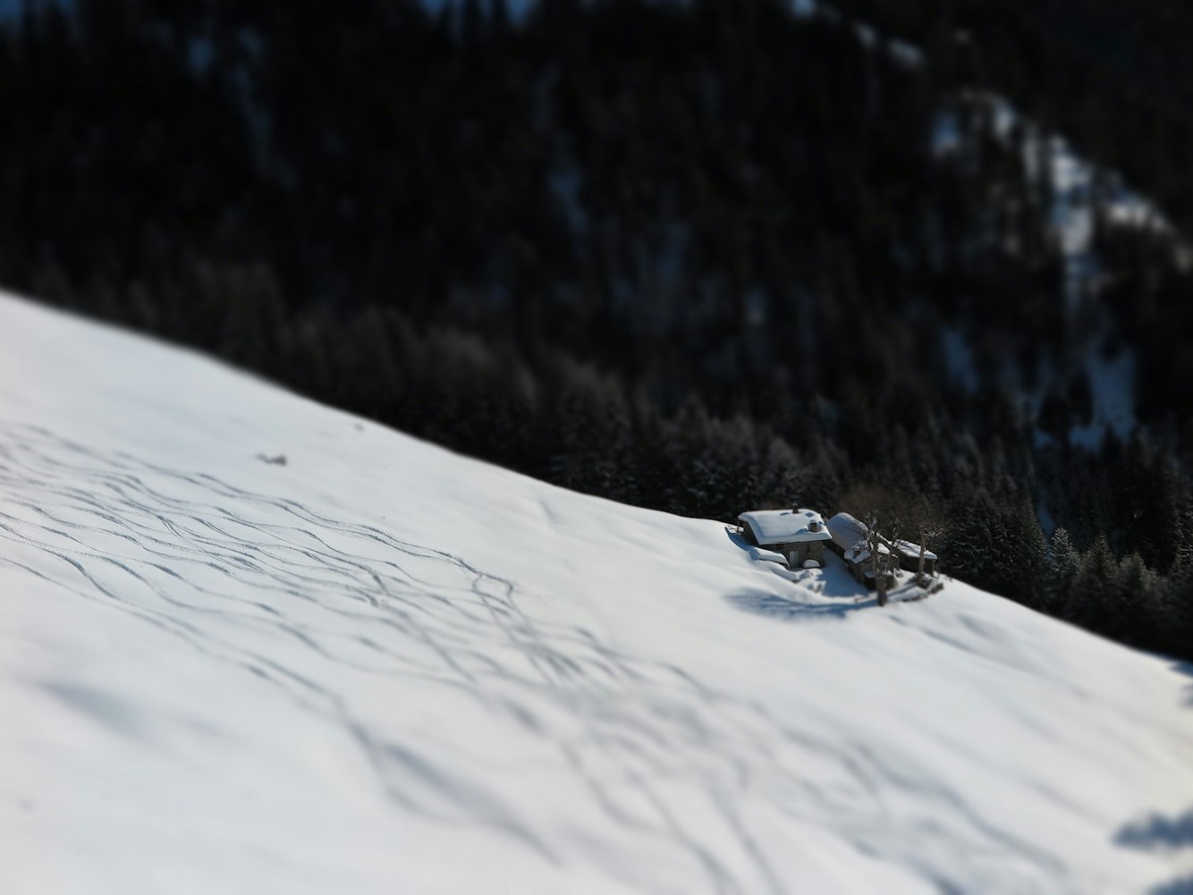 沈阳细河最新动态,城市绿色发展的脉搏