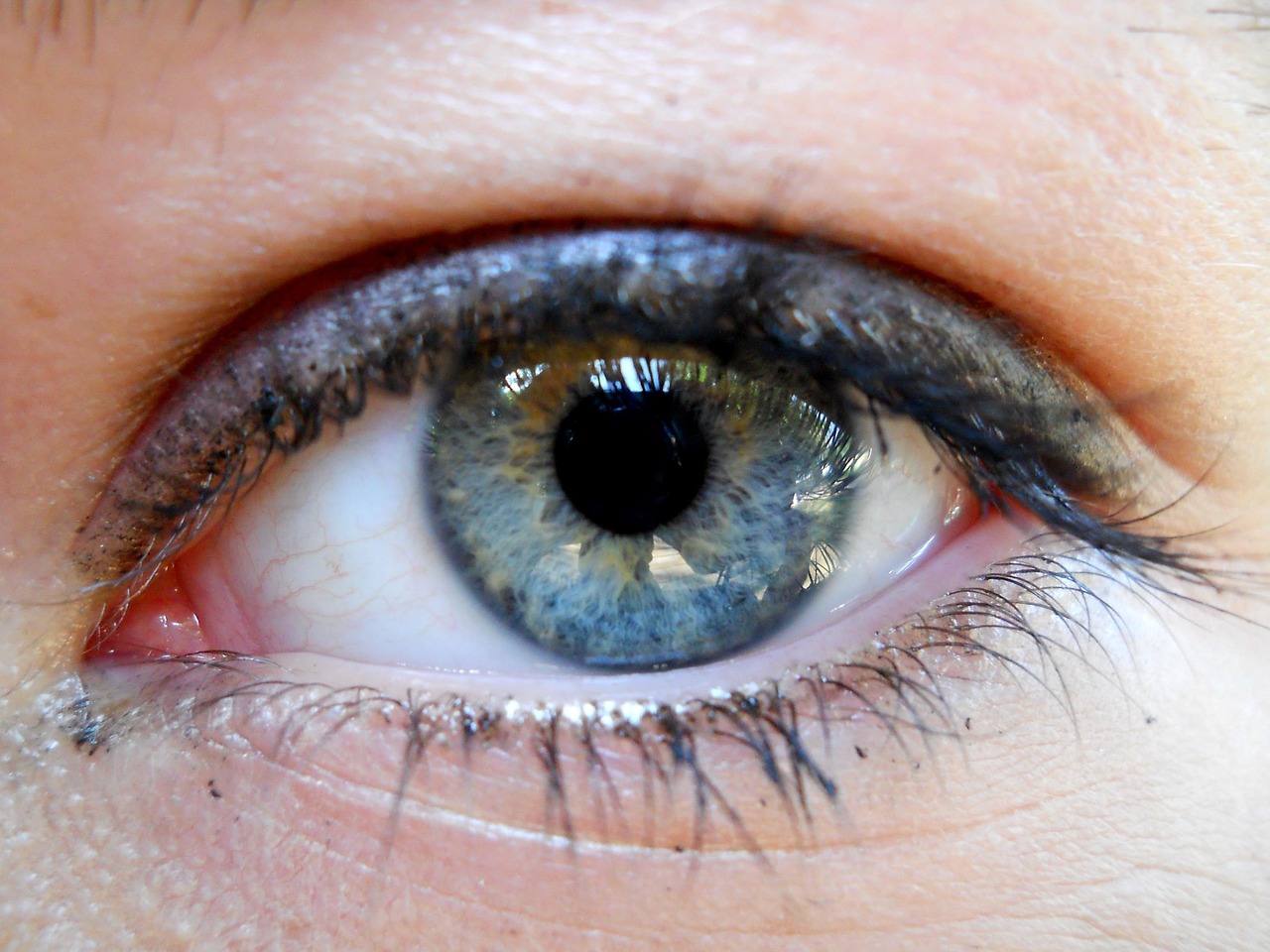 最新眉部美容技术揭秘，重塑眉部魅力的秘密武器