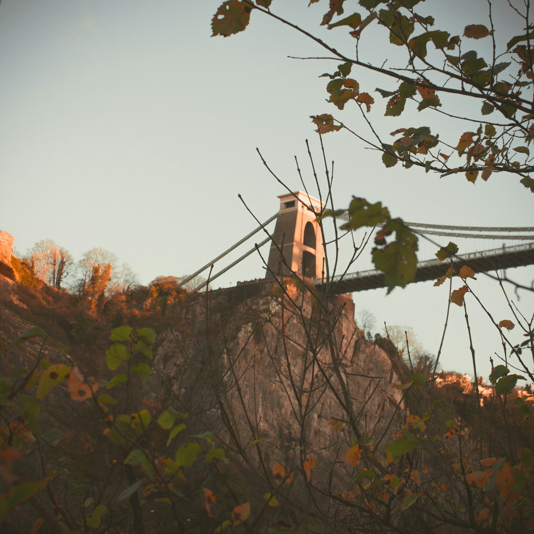 重庆港九股票行情深度分析与展望,最新动态及未来趋势解读