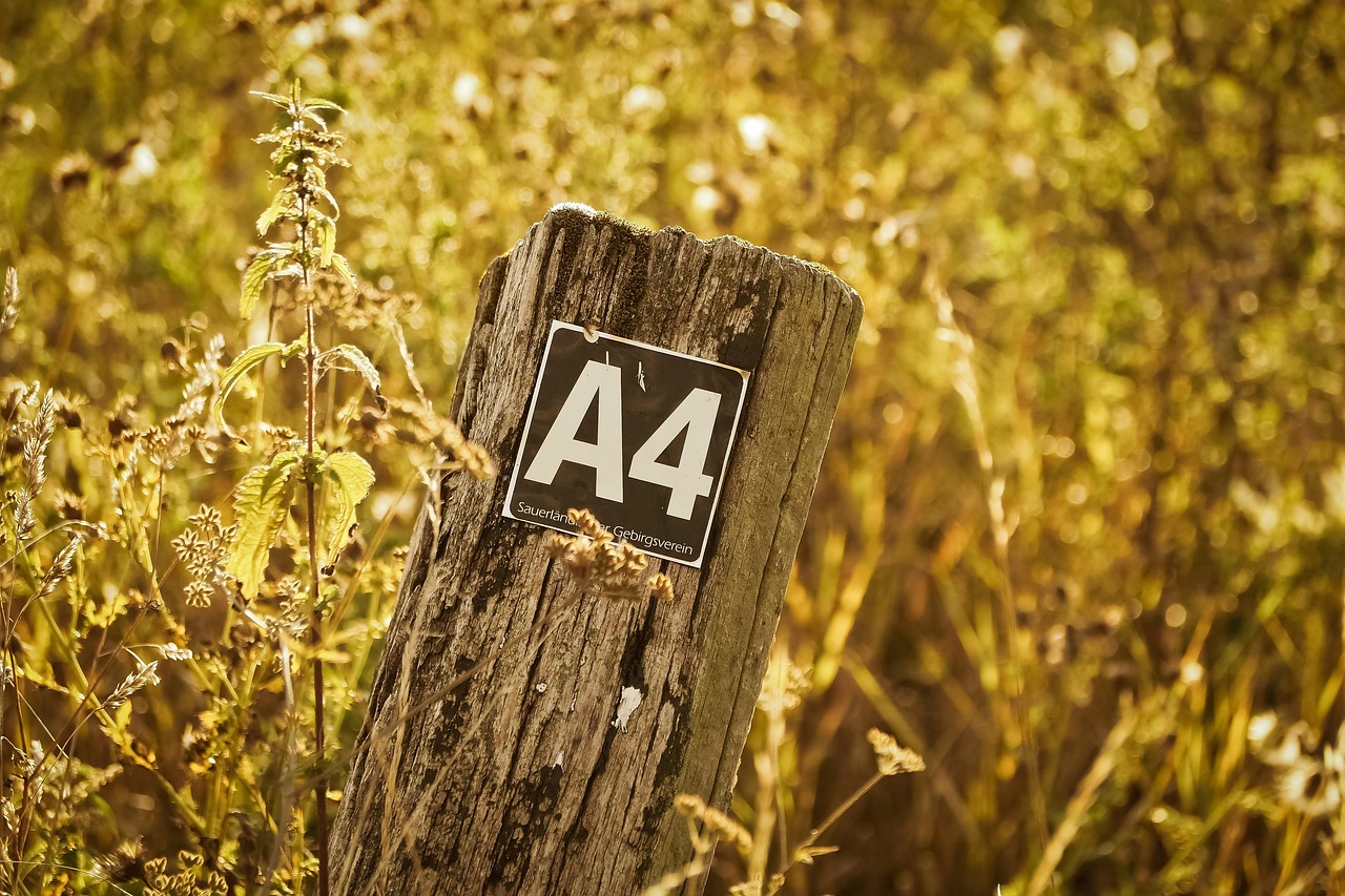 最新核村动态,迈向绿色可持续未来