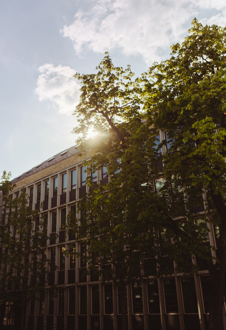 巨野租房信息解析,探寻理想居住空间