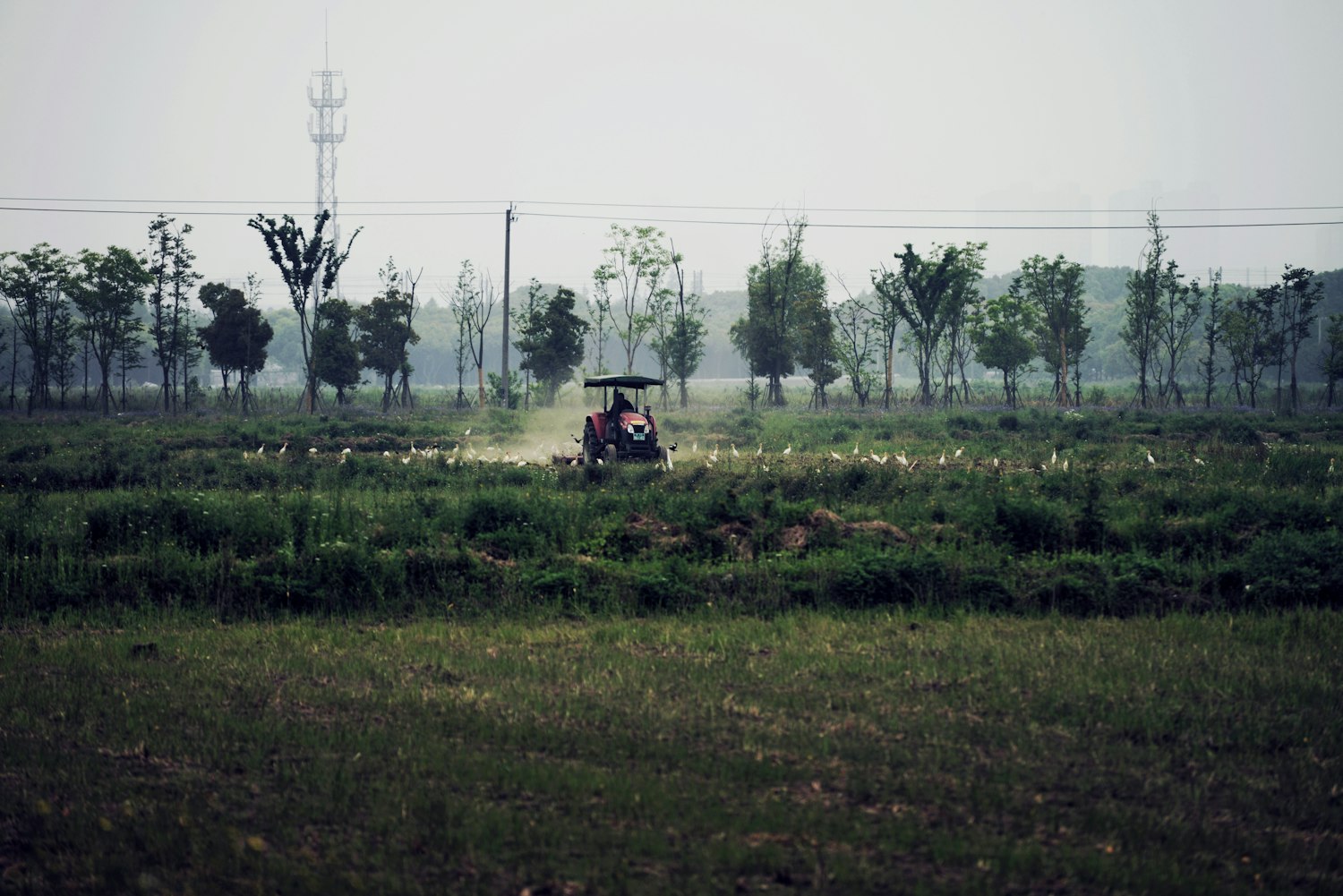 汝州王寨乡最新规划图，描绘乡村发展新篇章