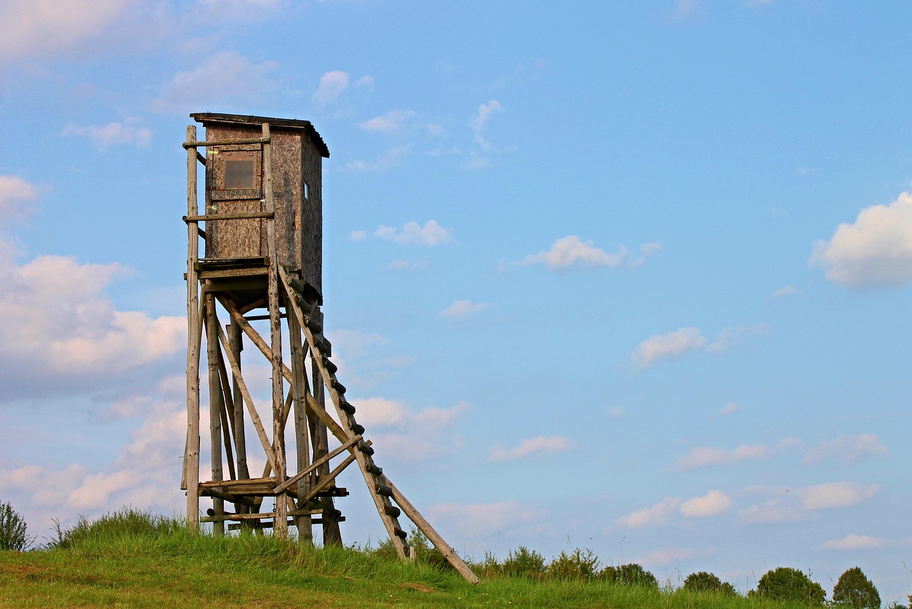 华蓥高兴最新规划图揭晓，描绘未来城市的繁荣活力展望