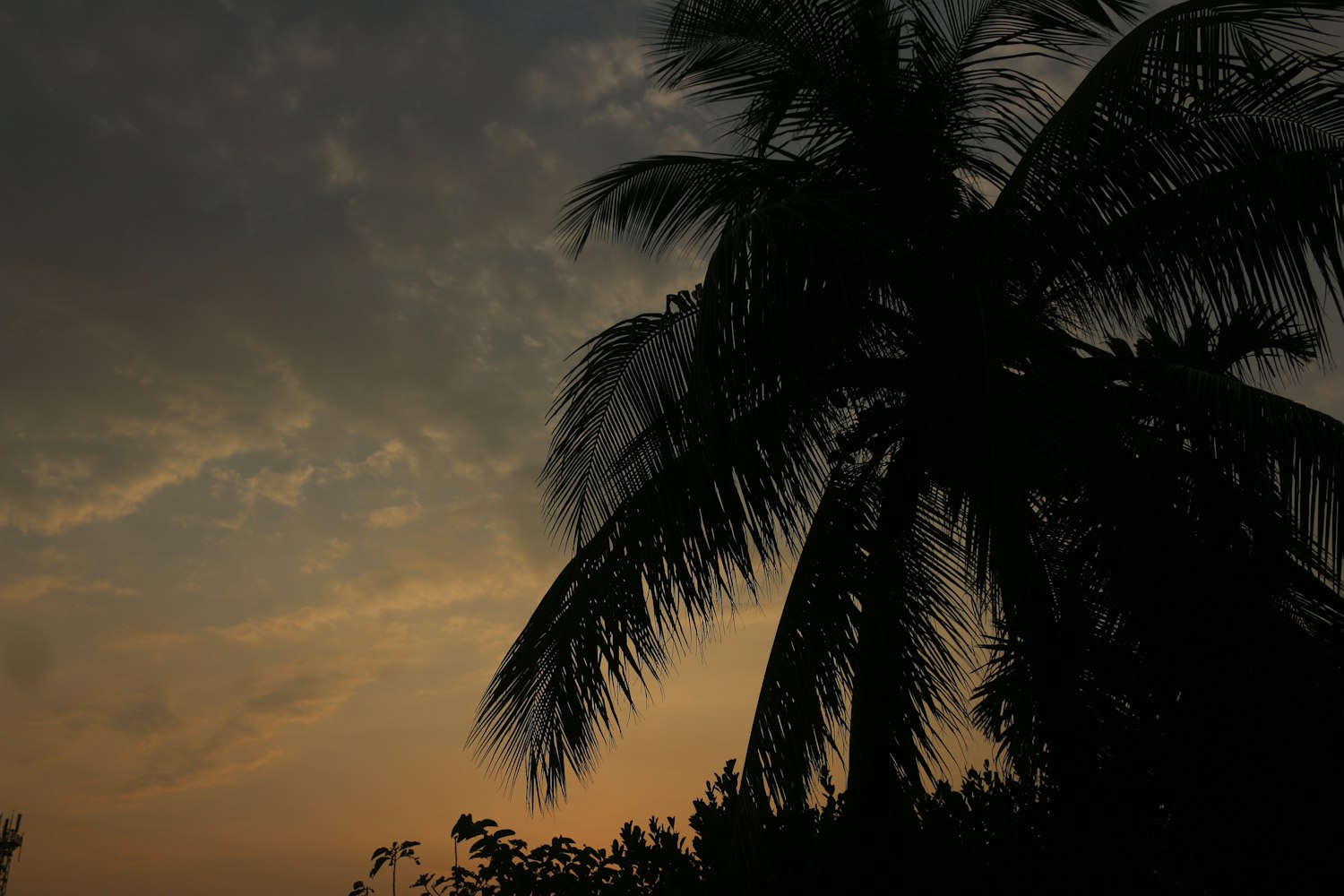 2026年1月8日 第2页