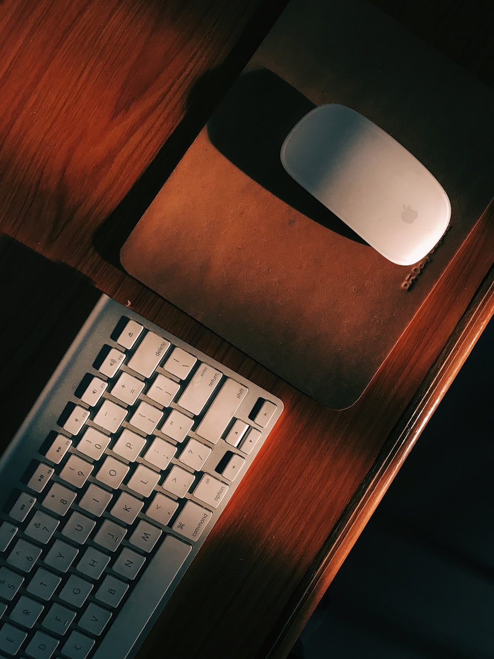 高云翔最新动态揭秘，演艺事业新篇章与公众形象的转变之路