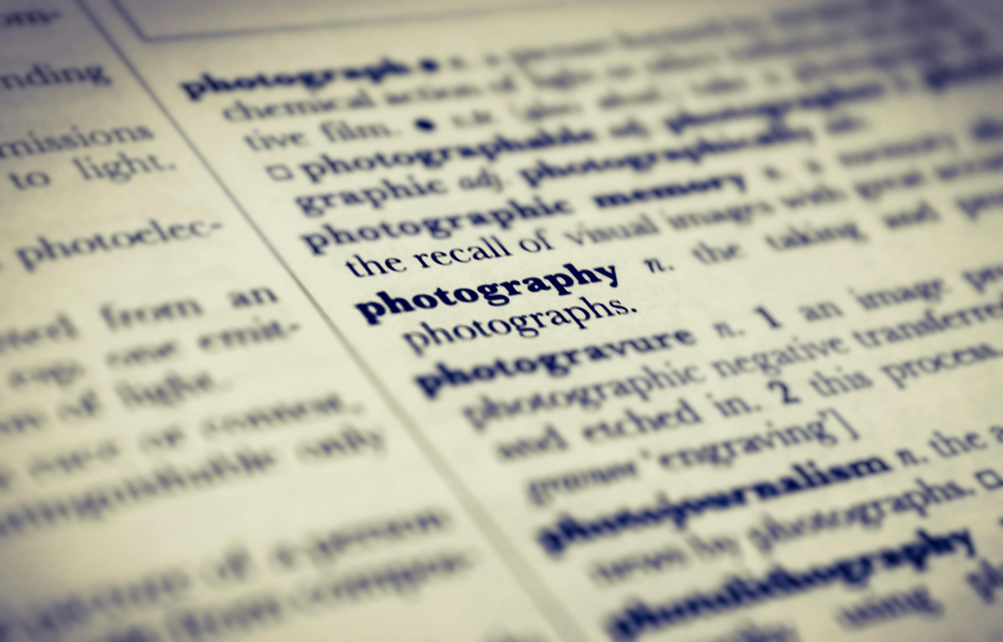 最新词汇库，探索语言的新领域