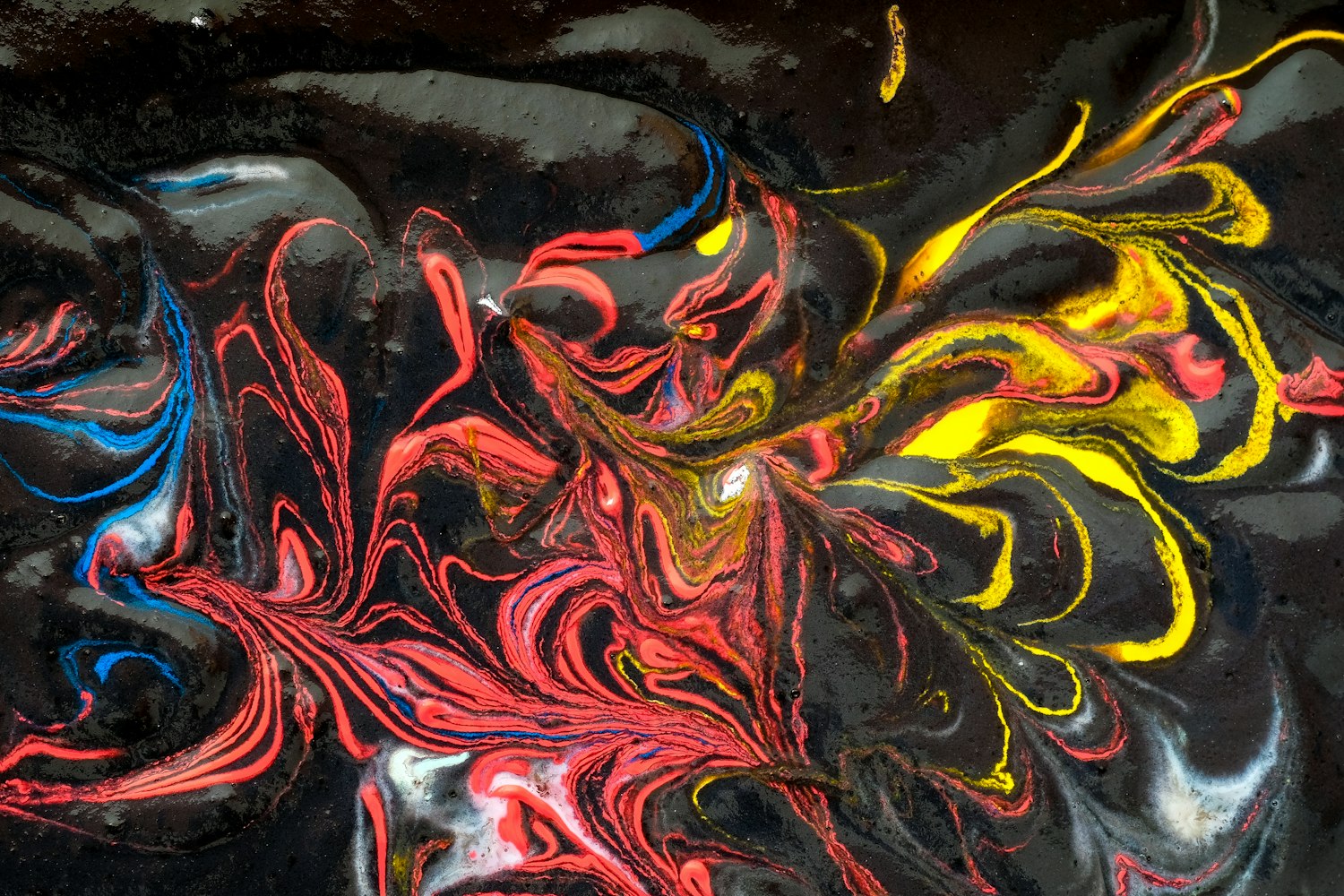 阴阳师最新五星式神深度解析与攻略大全