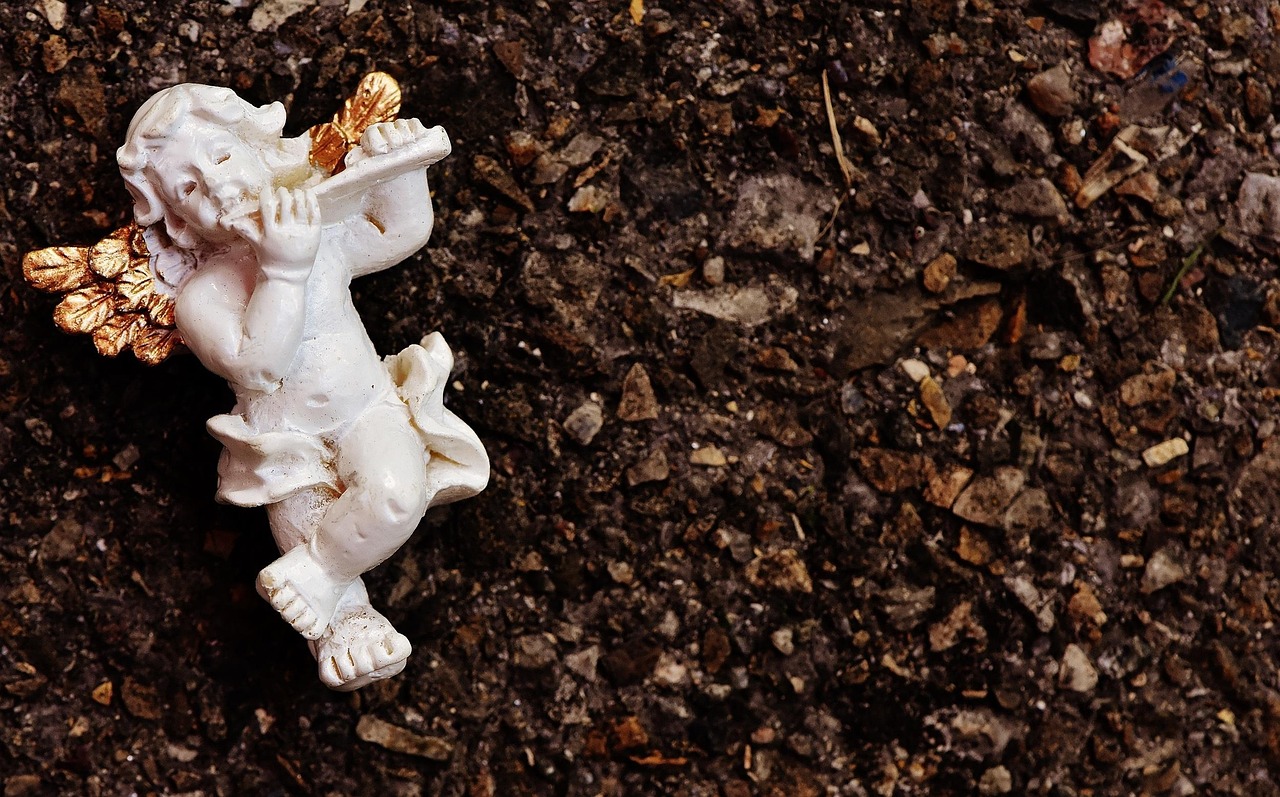 张伟微博新动态,音乐之旅启程,与粉丝互动新篇章开启