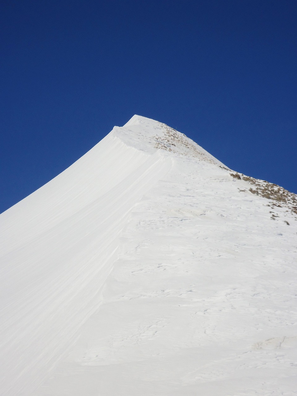 金砖国家会议最新动态,深化合作,共谋发展之路