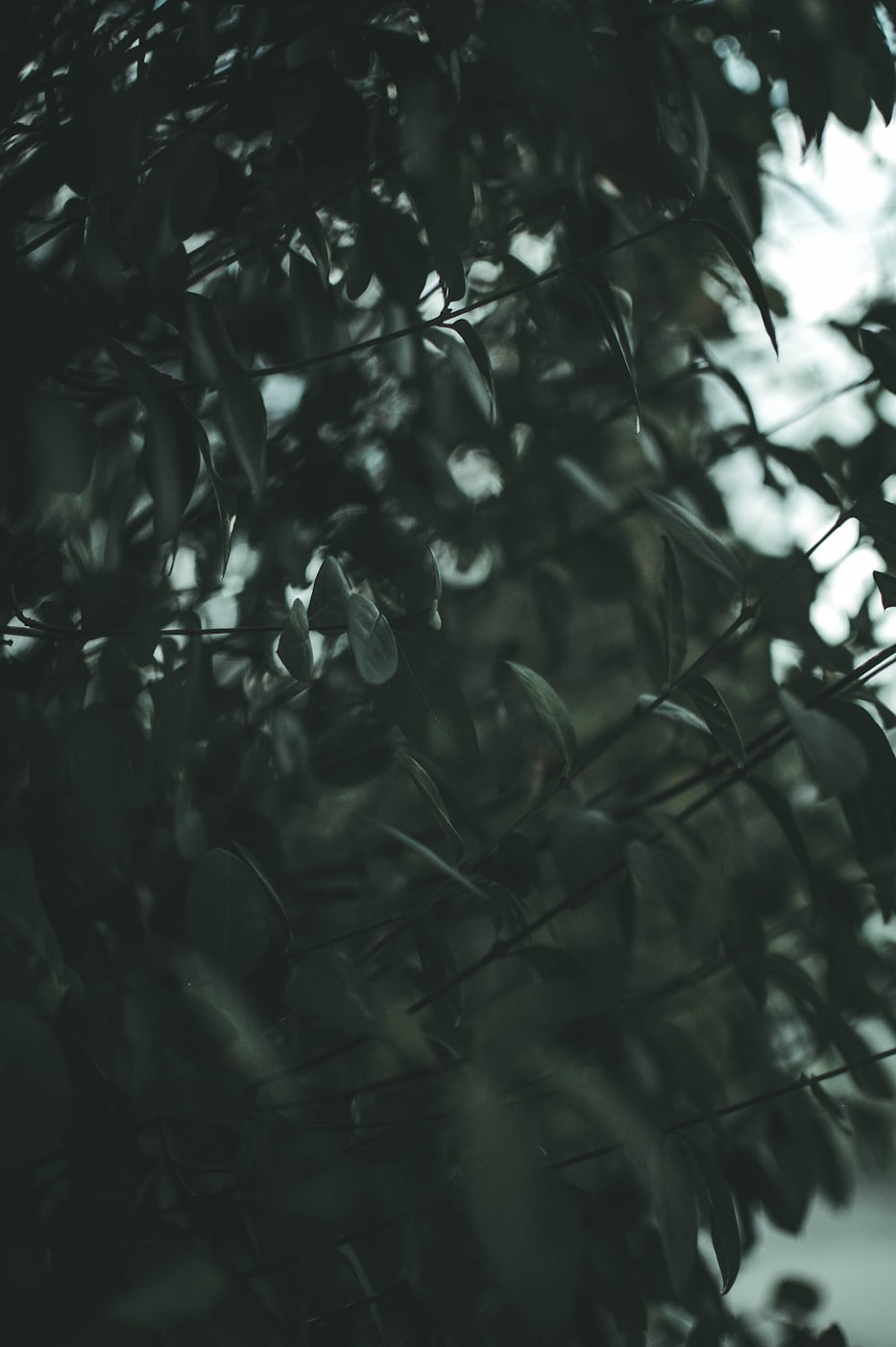 揭秘未知领域，揭开隐藏的秘密之门