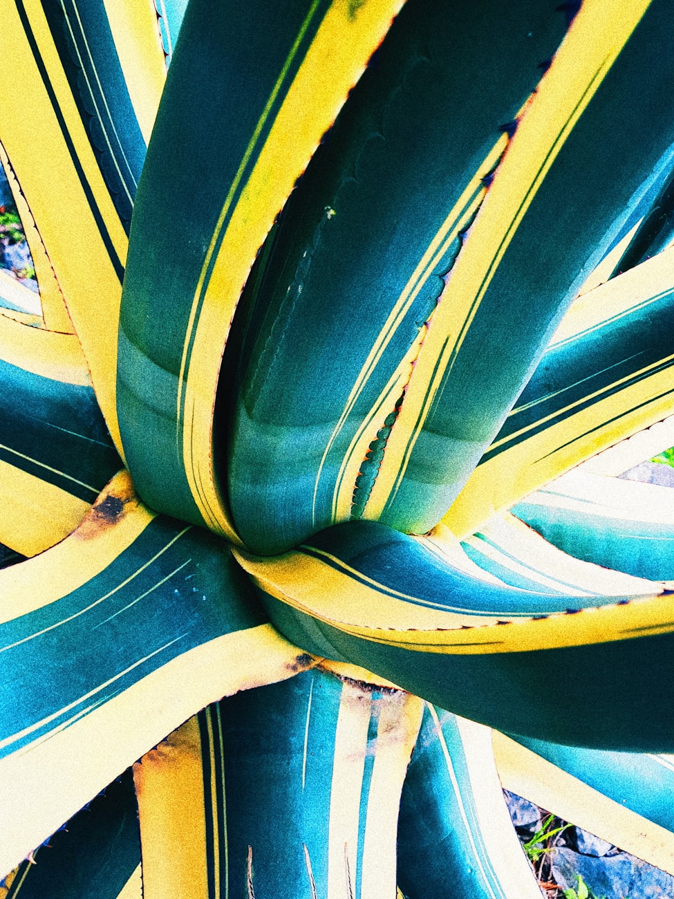 潮流发色新趋势，探索未来色彩美学的魅力