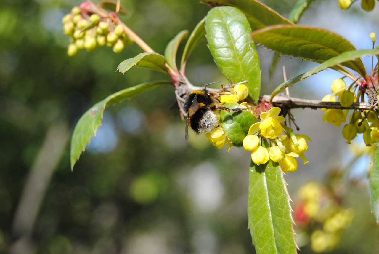 太康如意花园最新动态揭秘，最新进展与资讯更新