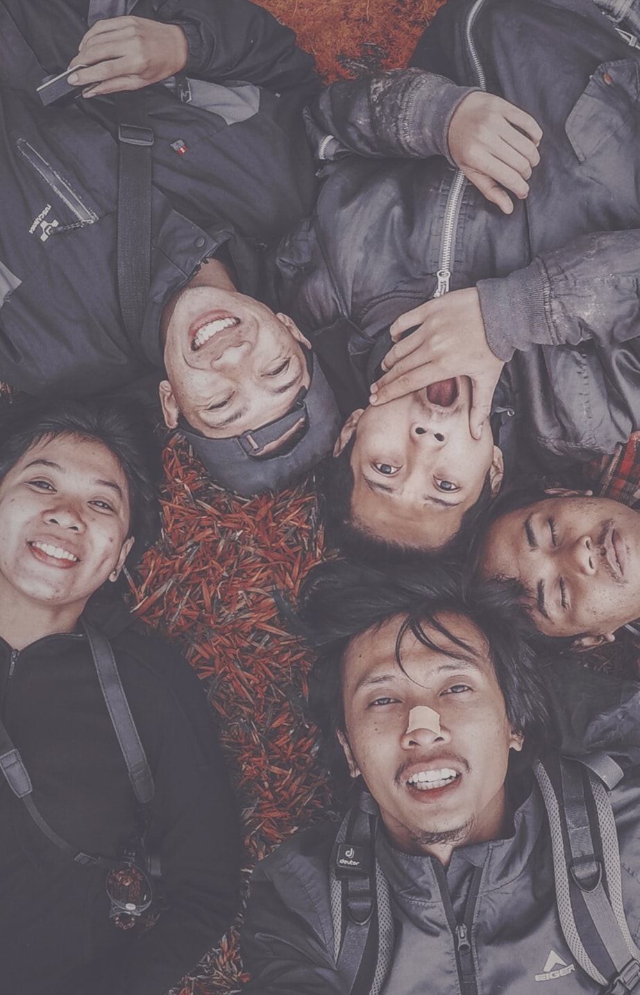 重组家庭演员表，重塑人生的舞台之旅