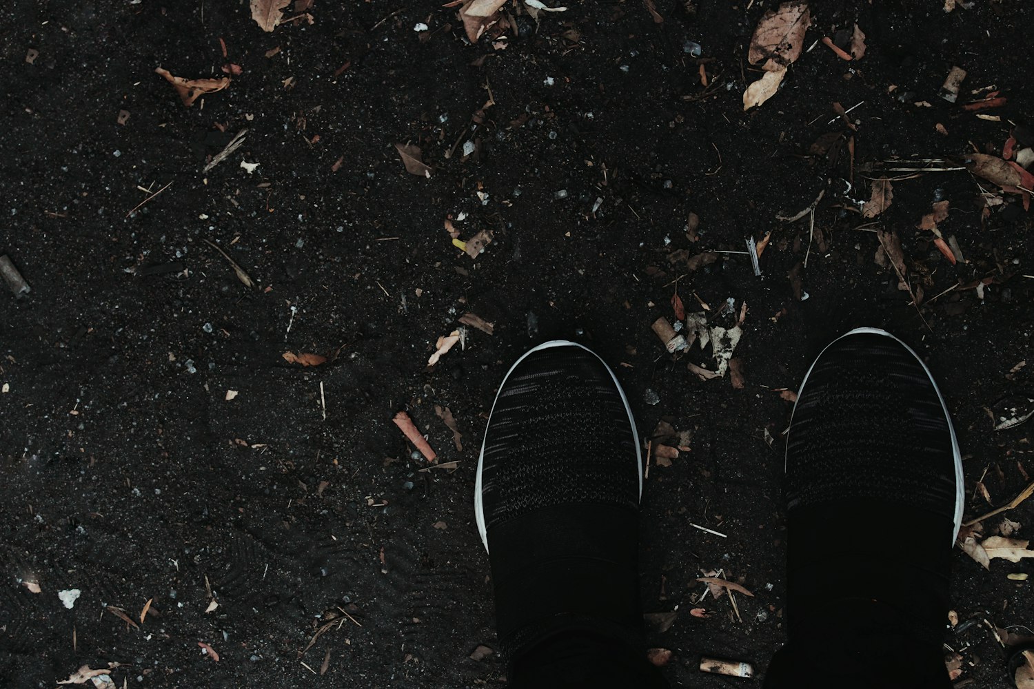 苍蝇电影，从厌恶到深思的影像探索之旅