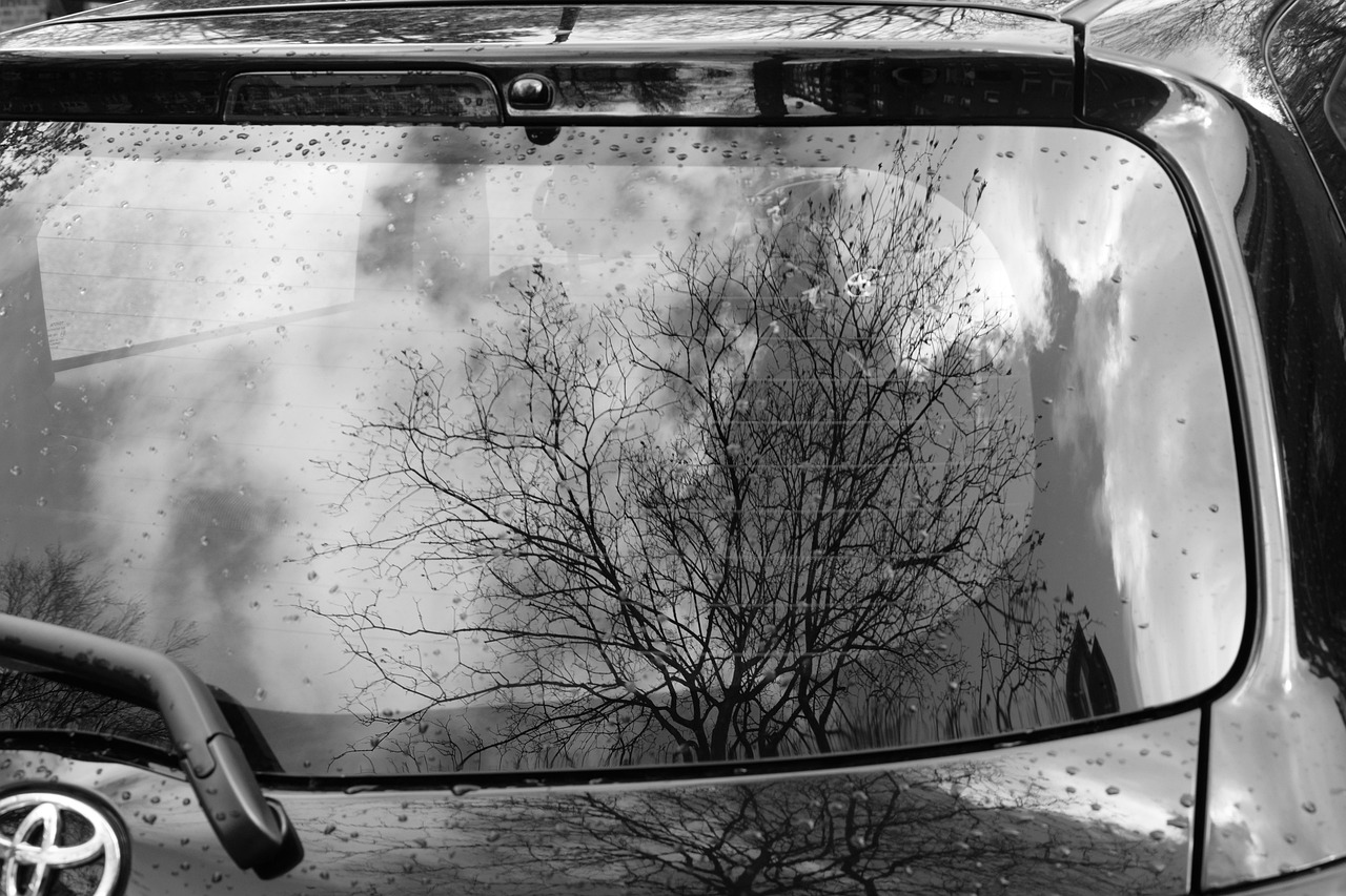 探究日本电影的艺术魅力与文化内涵，一部跨越xxxx的影像之旅