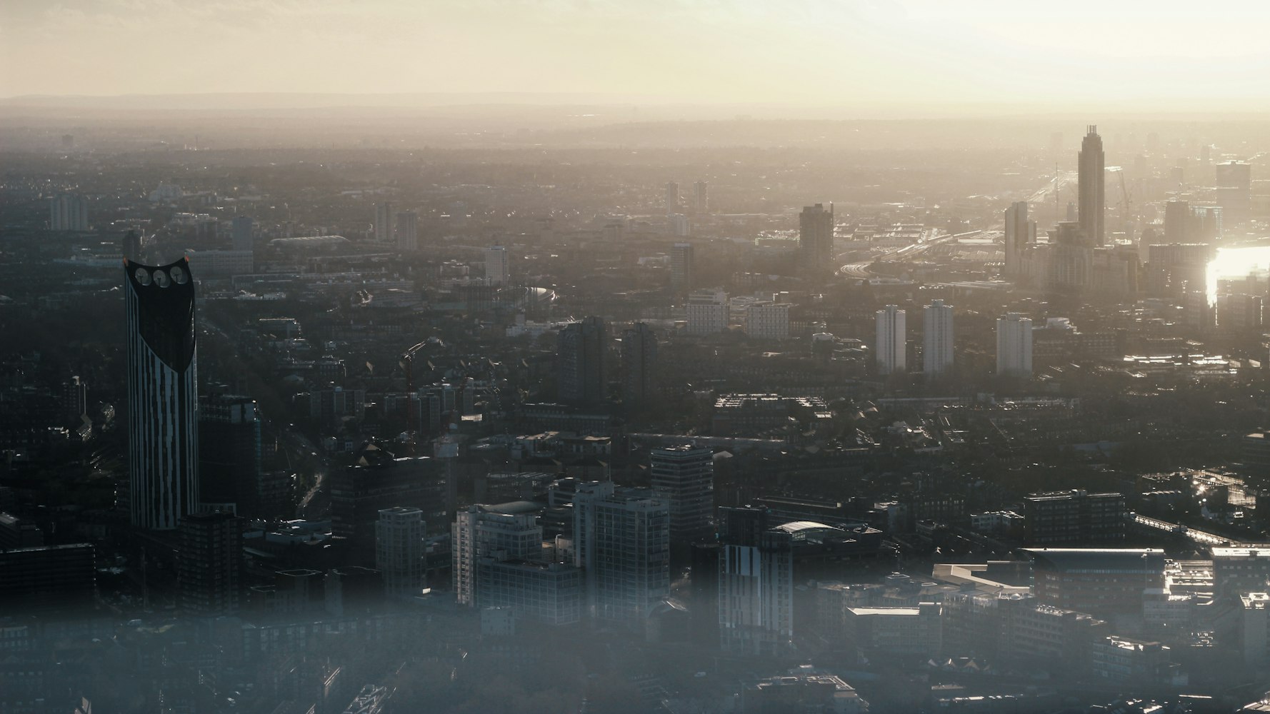 日本二区电影的独特魅力探索