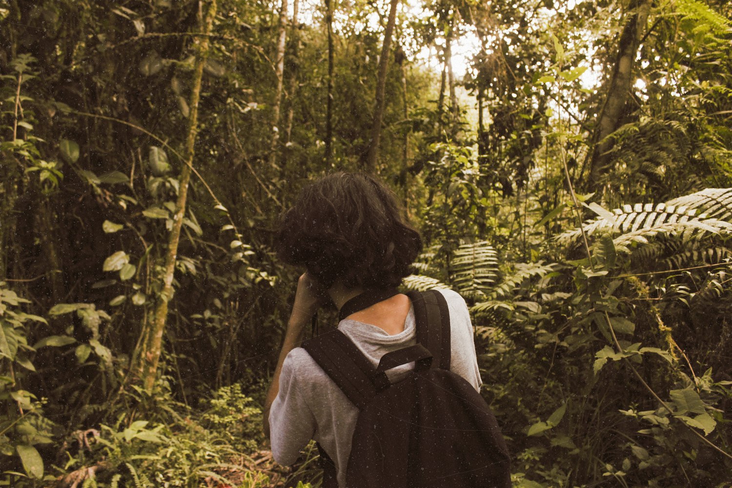 动漫侧脸图片的魅力、影响与探究