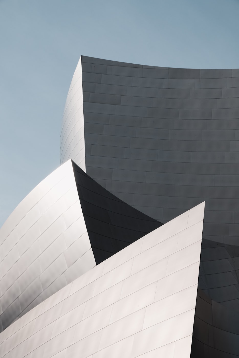 合肥疫情最新动态，全面应对，共筑防线