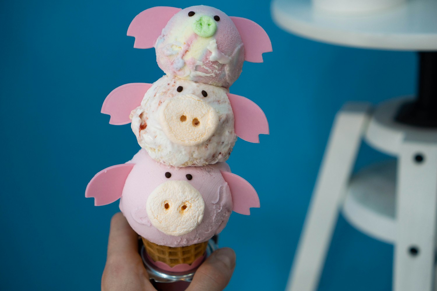 动漫小公主图片的魅力与影响力