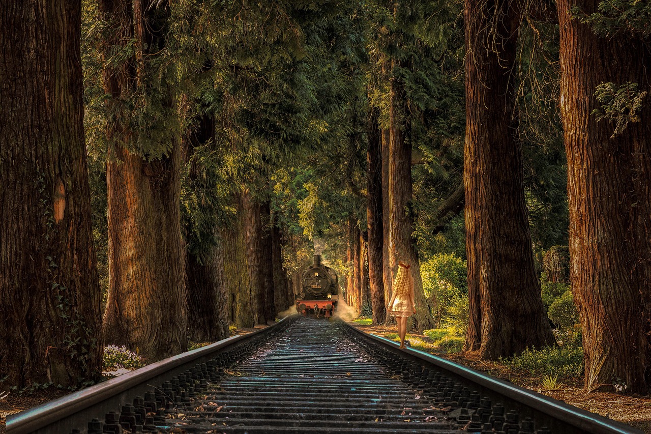 最新歌曲的魅力，如何触动心灵的旋律