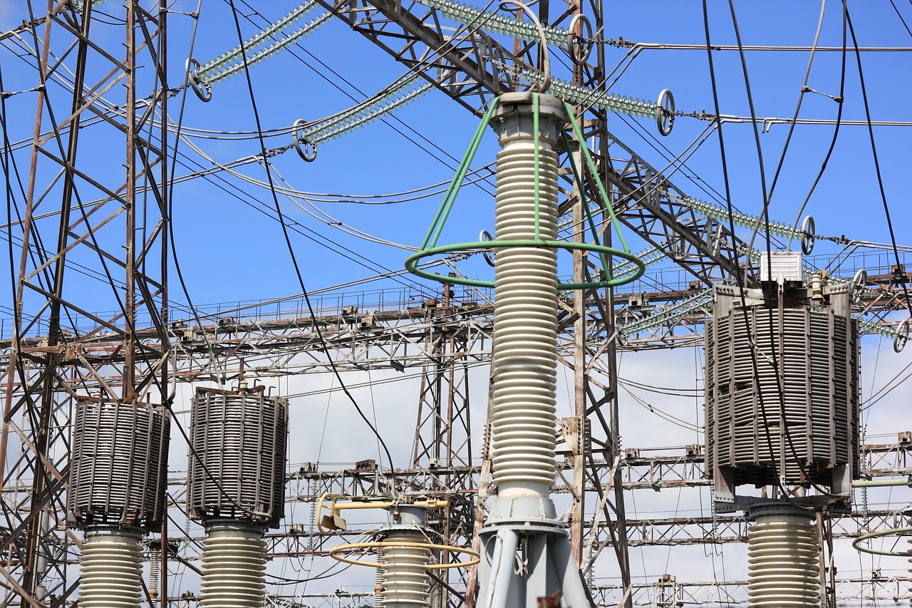 一杯源味白凯水