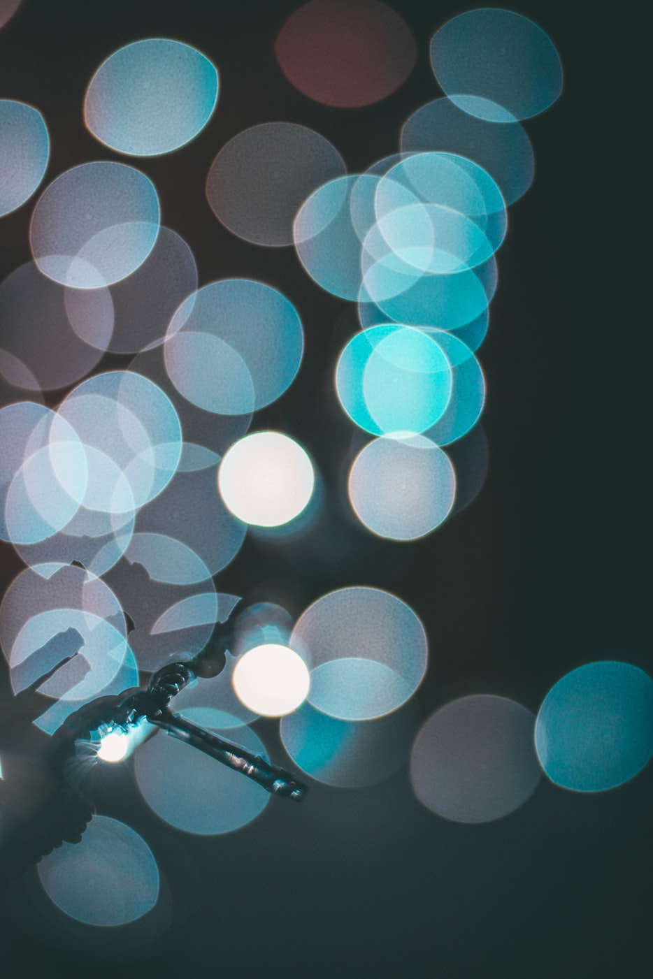 星光之爱最新动态探索与揭秘