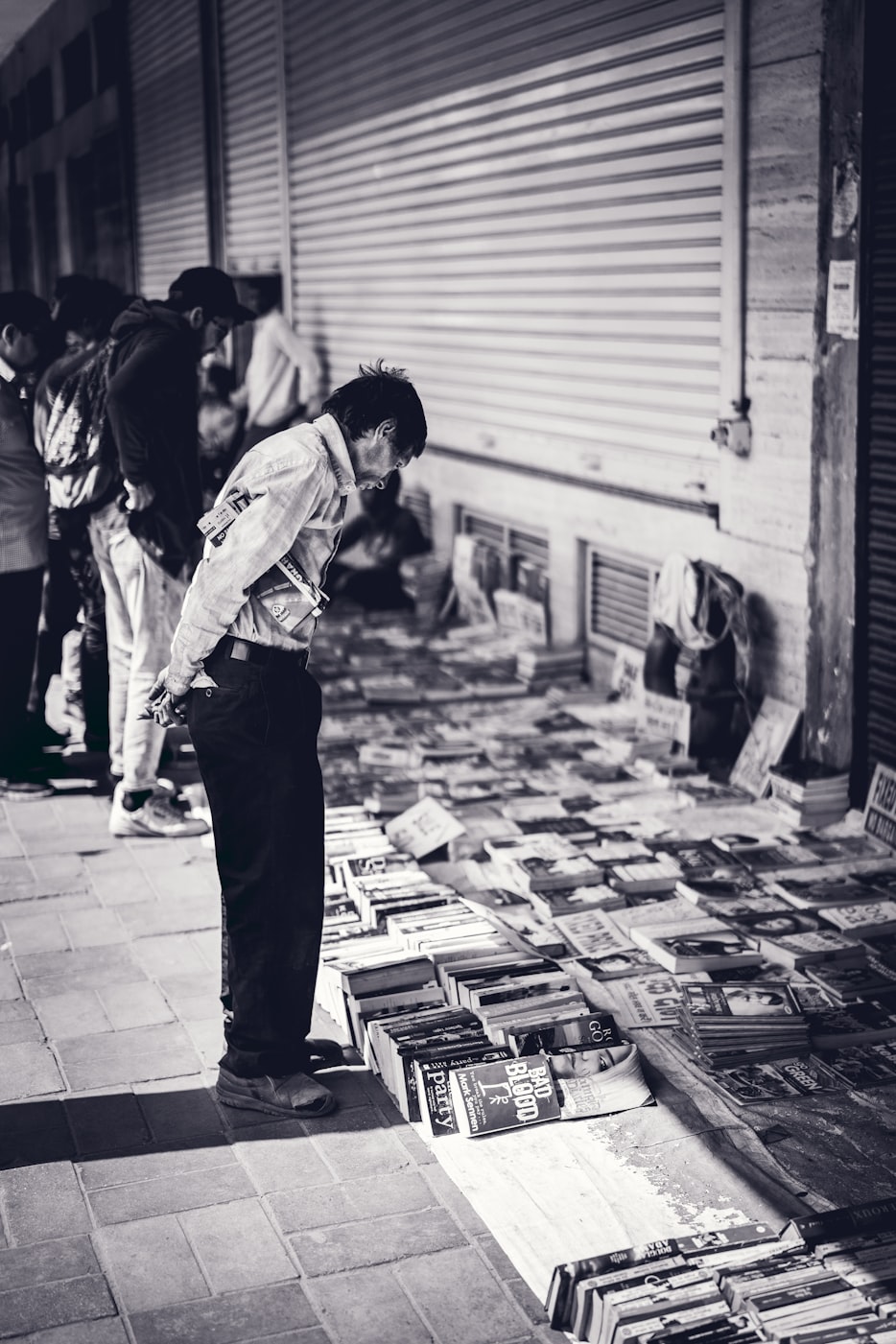 最新车险资讯概览与动态