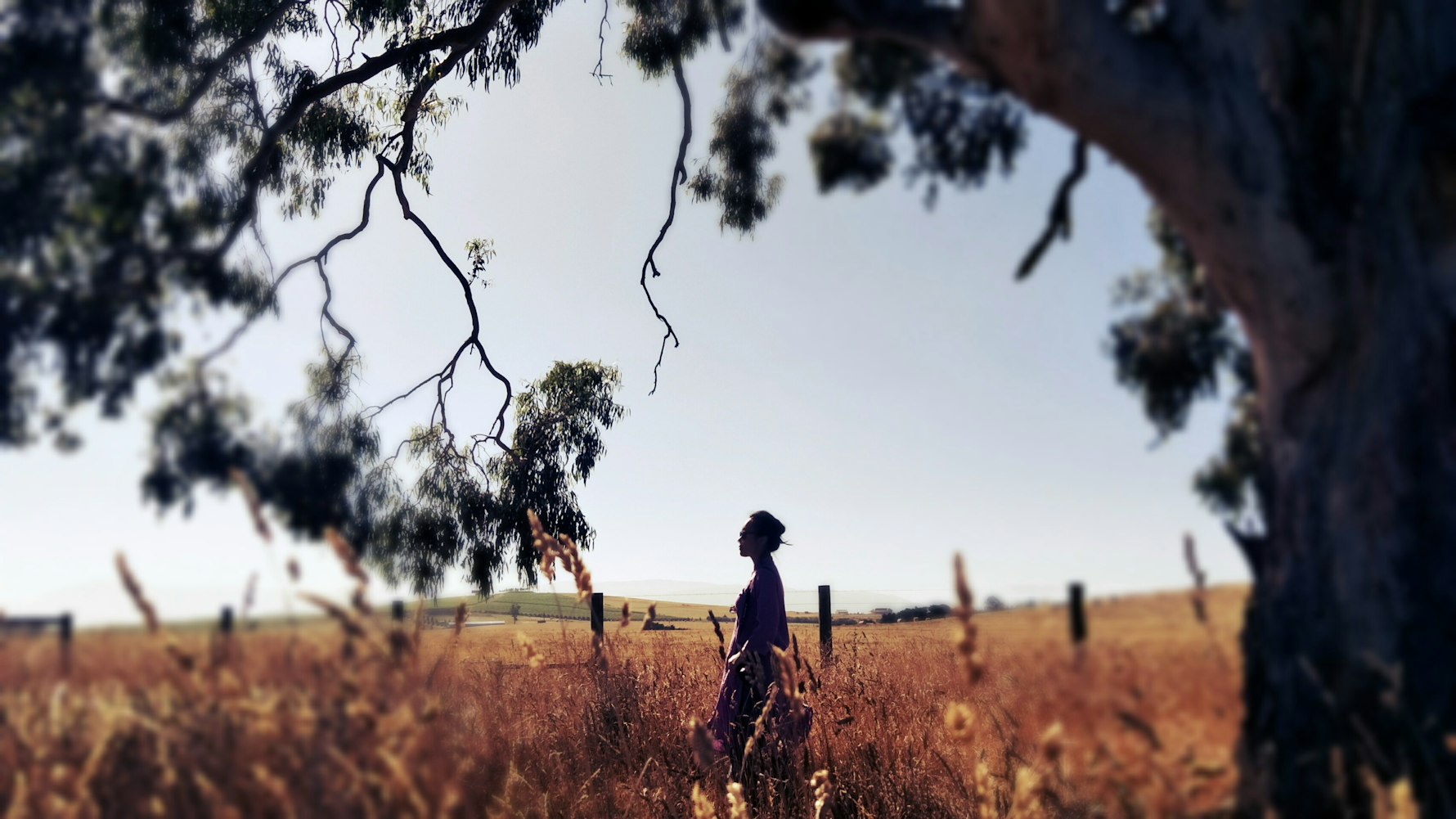 电影有人在敲门，故事与情感的交织之门开启