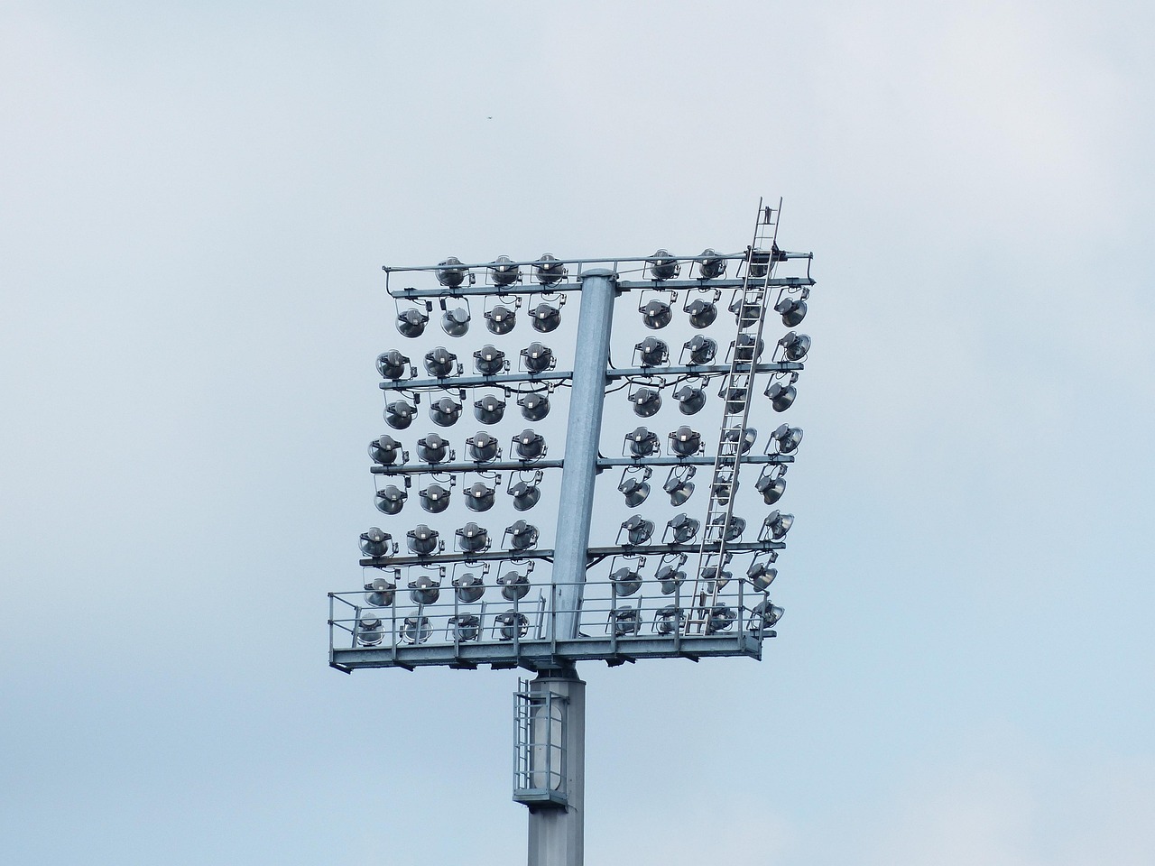 陈政最新动态2017,陈政最新动态2017,迈向新的发展阶段