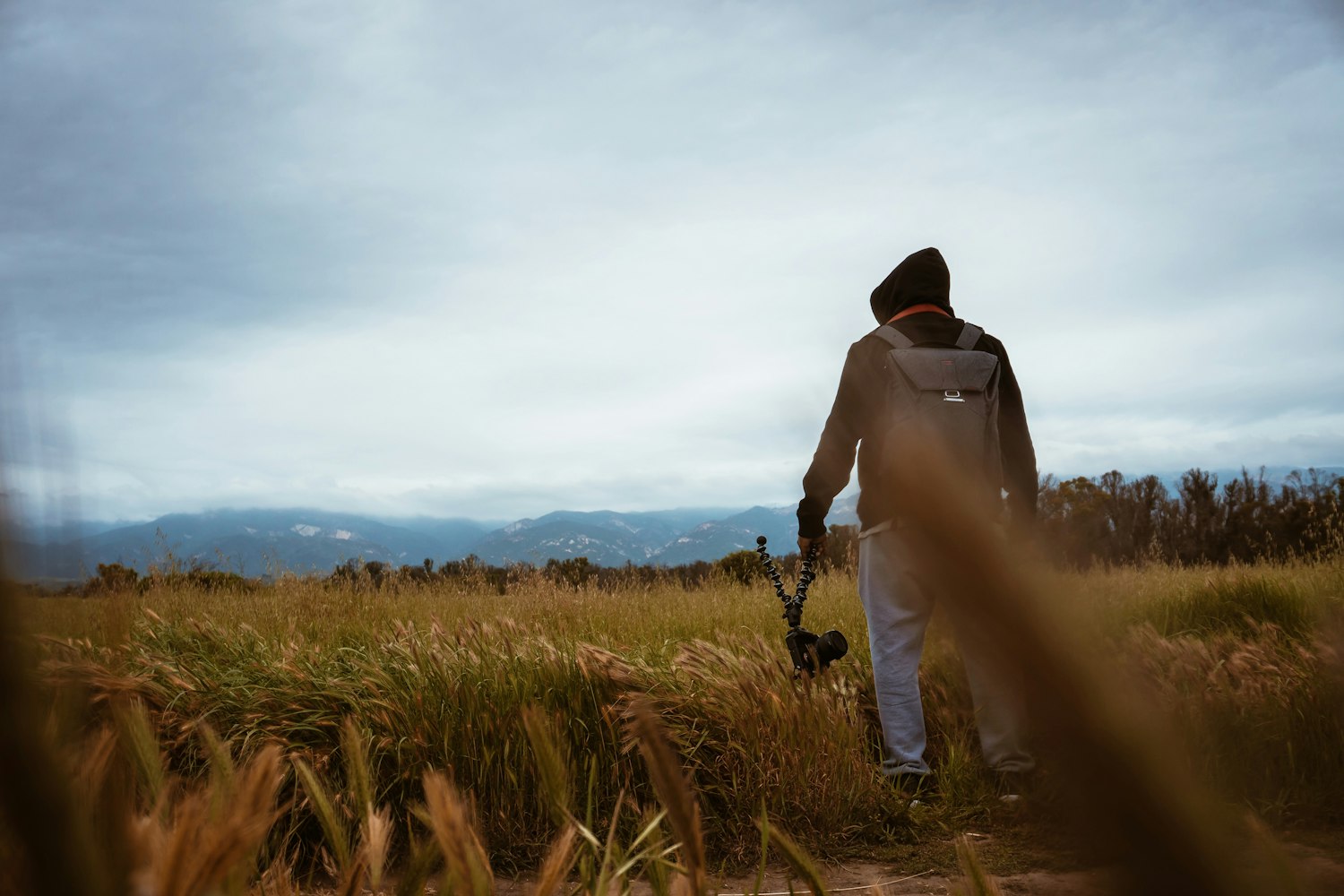 电视剧罪犯与女儿,情感纠葛与人性的探索之旅