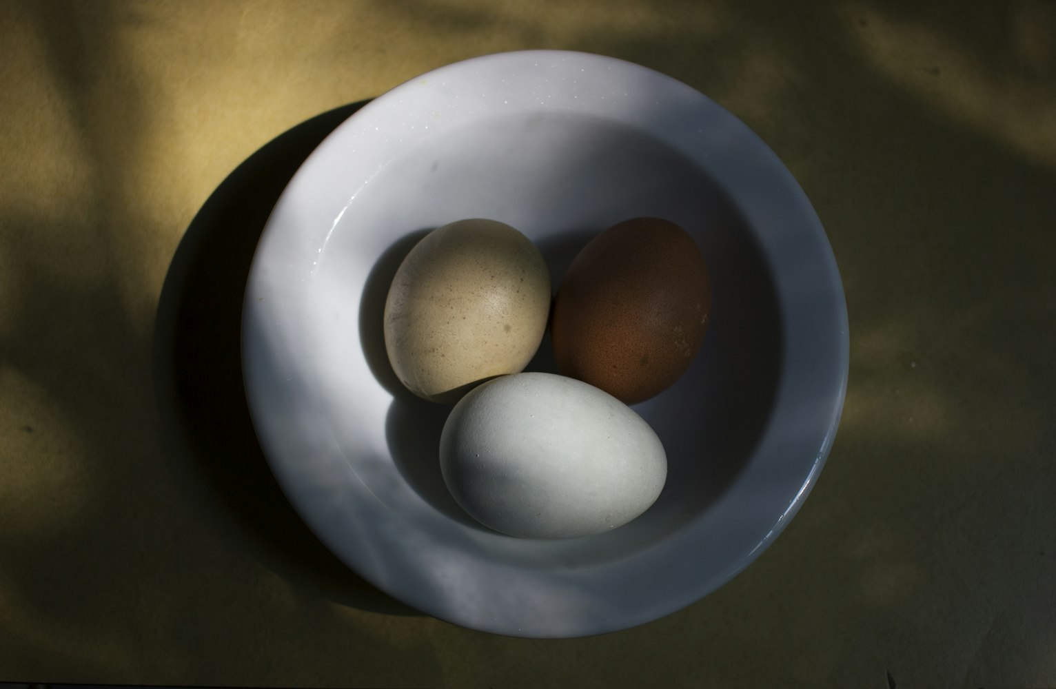 美国最新款人工耳蜗，重塑听力的革命性技术突破