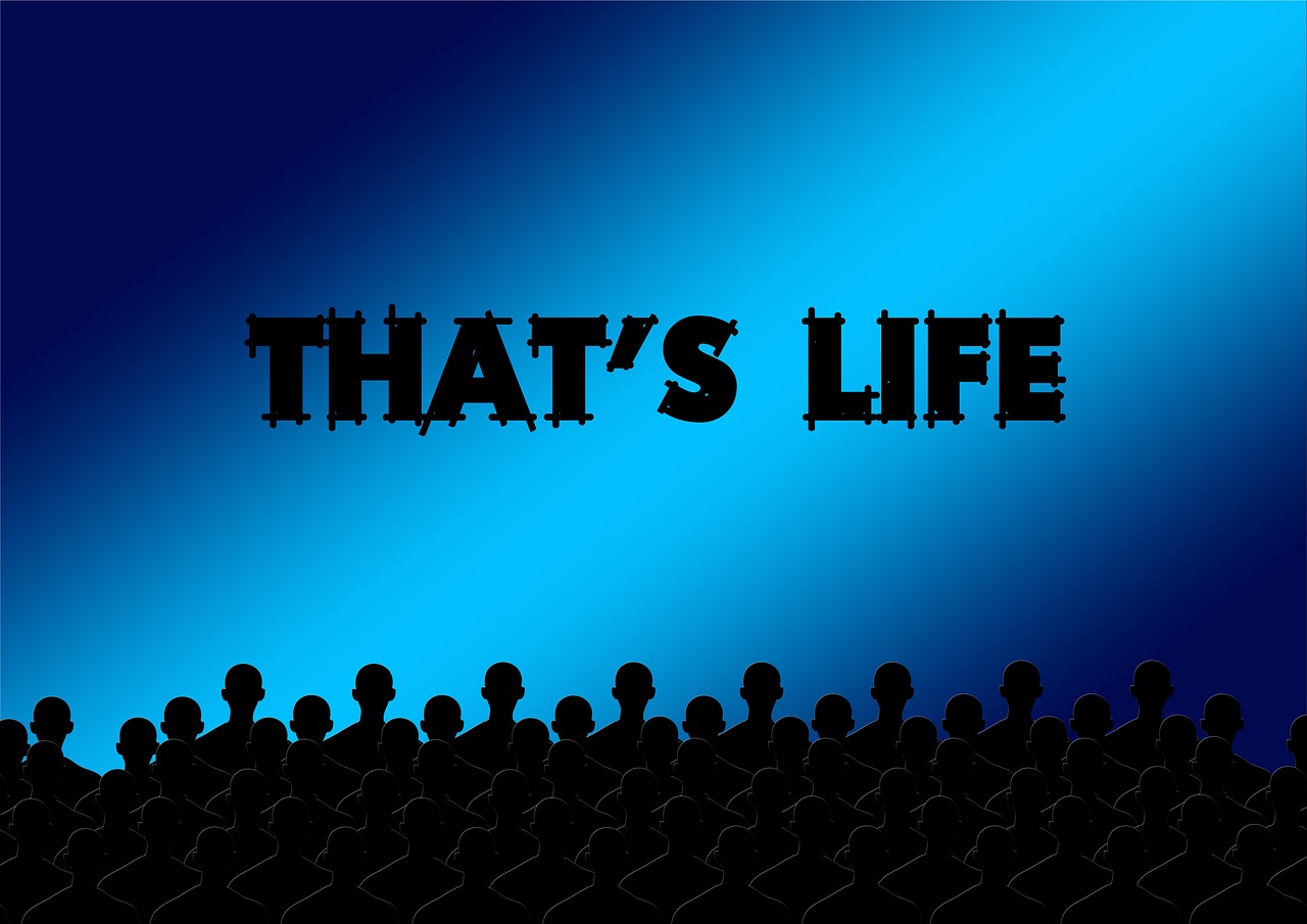 电影43下载，影视资源便捷获取之路