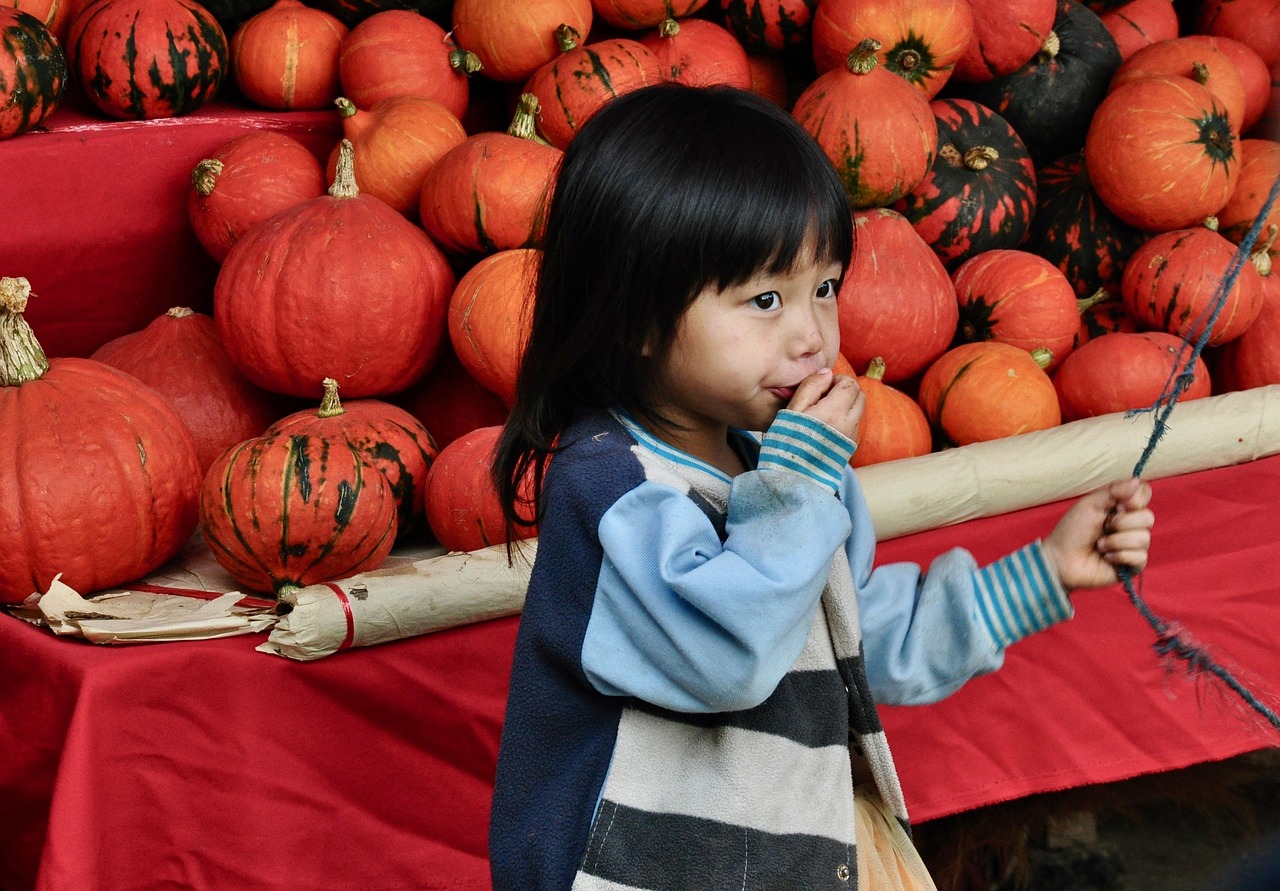 文化市场改革动态，探索、启示与深度观察