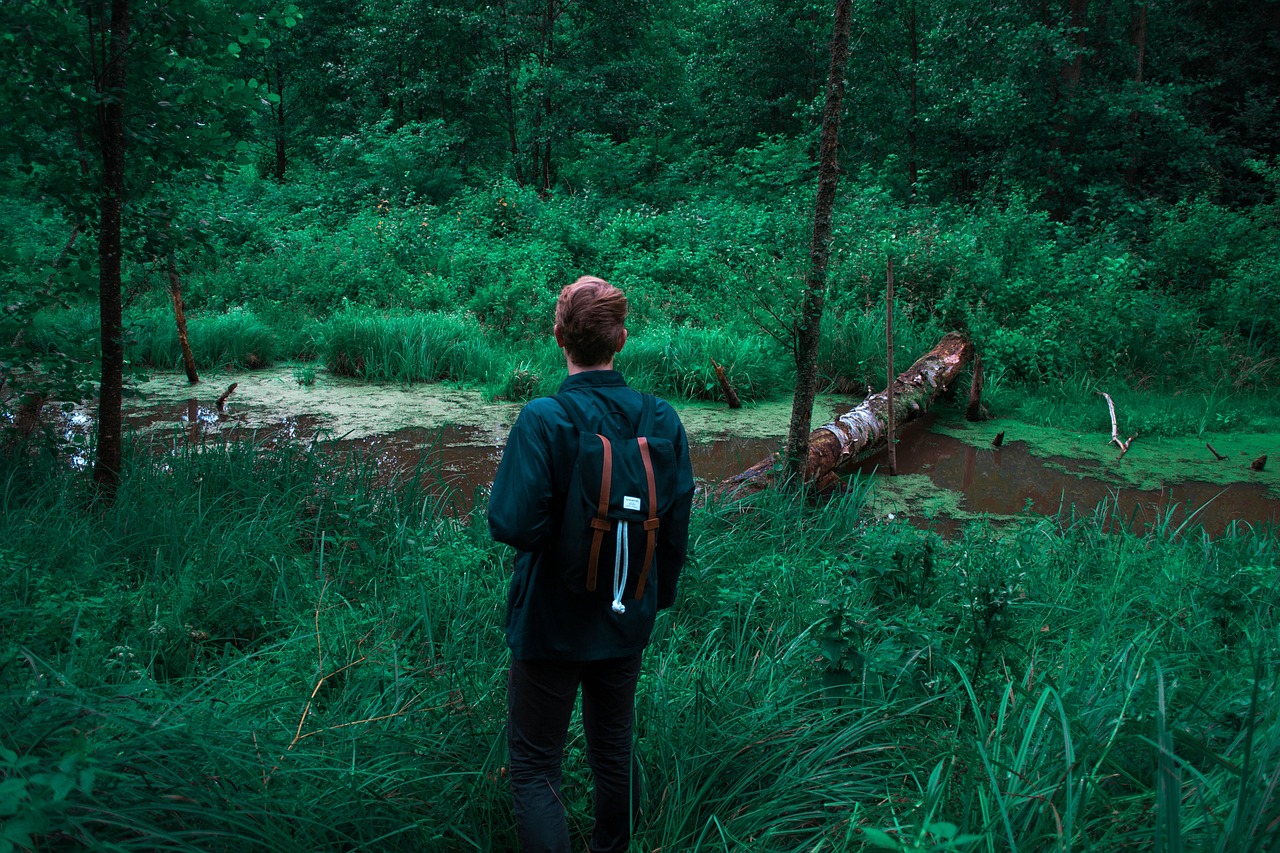 最新动漫下载，探索与体验之旅