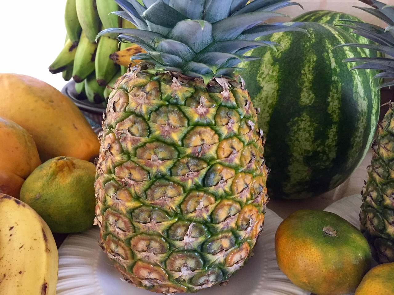 探寻各地瓜香盛宴，西瓜上市季节的盛宴开启