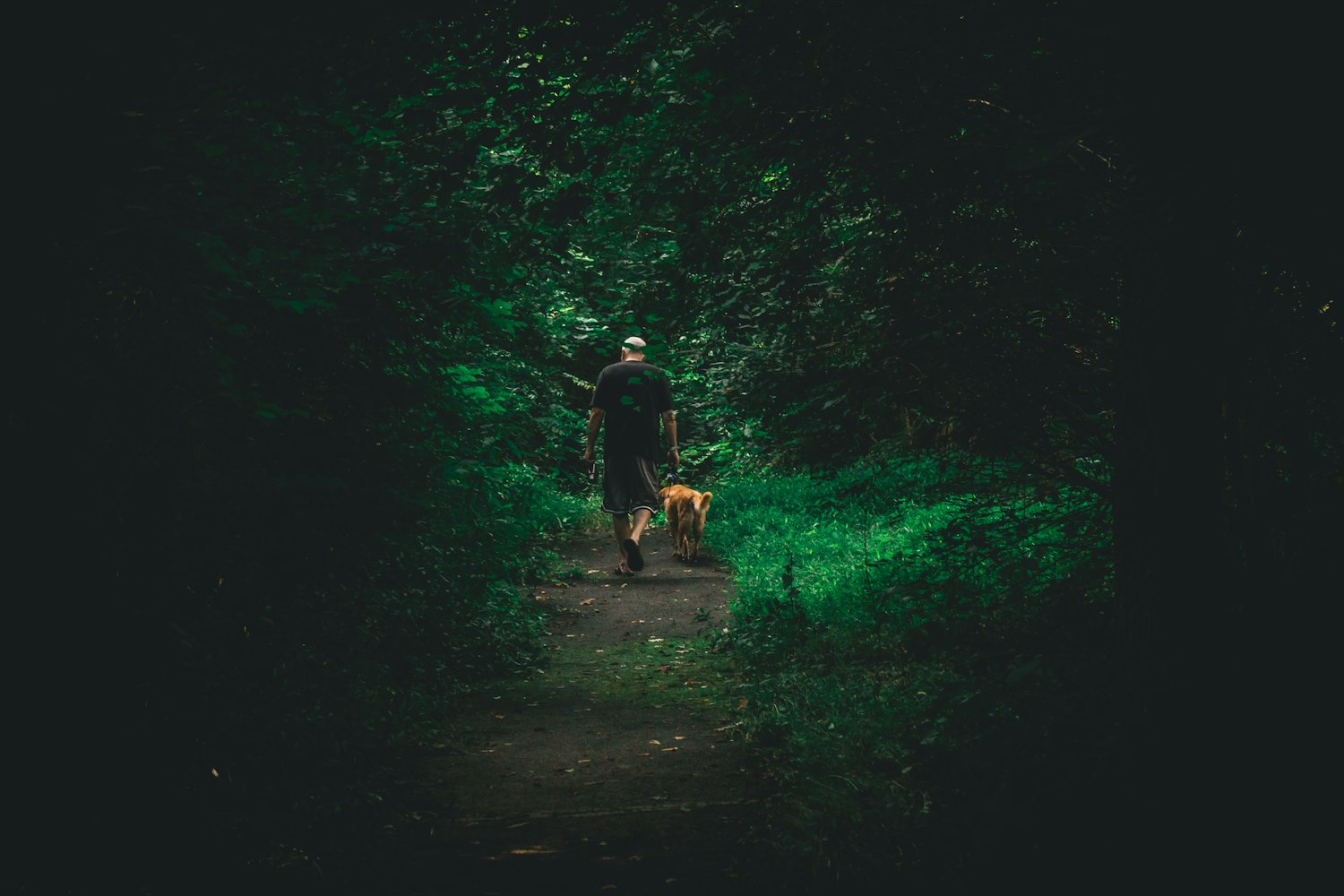 赛博朋克2077价格深度解析与预测